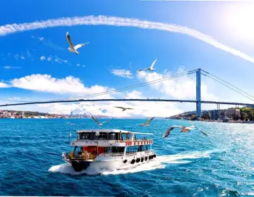 Bosphorus Strait cruise with panoramic city views