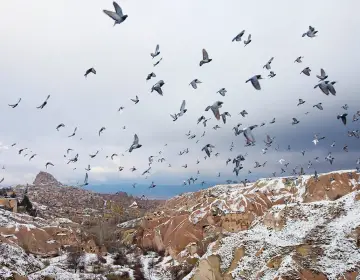 Belvedere di Pigeon Valley nel Tour Giallo della Cappadocia