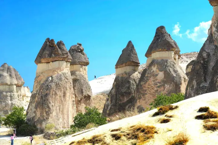 Chimeneas de hadas de Pasabag en el Tour Rojo de Cappadocia